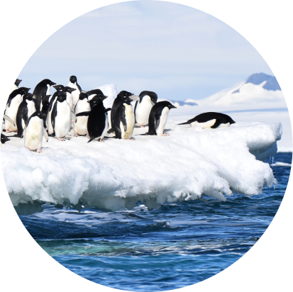 地球の未来を守るため